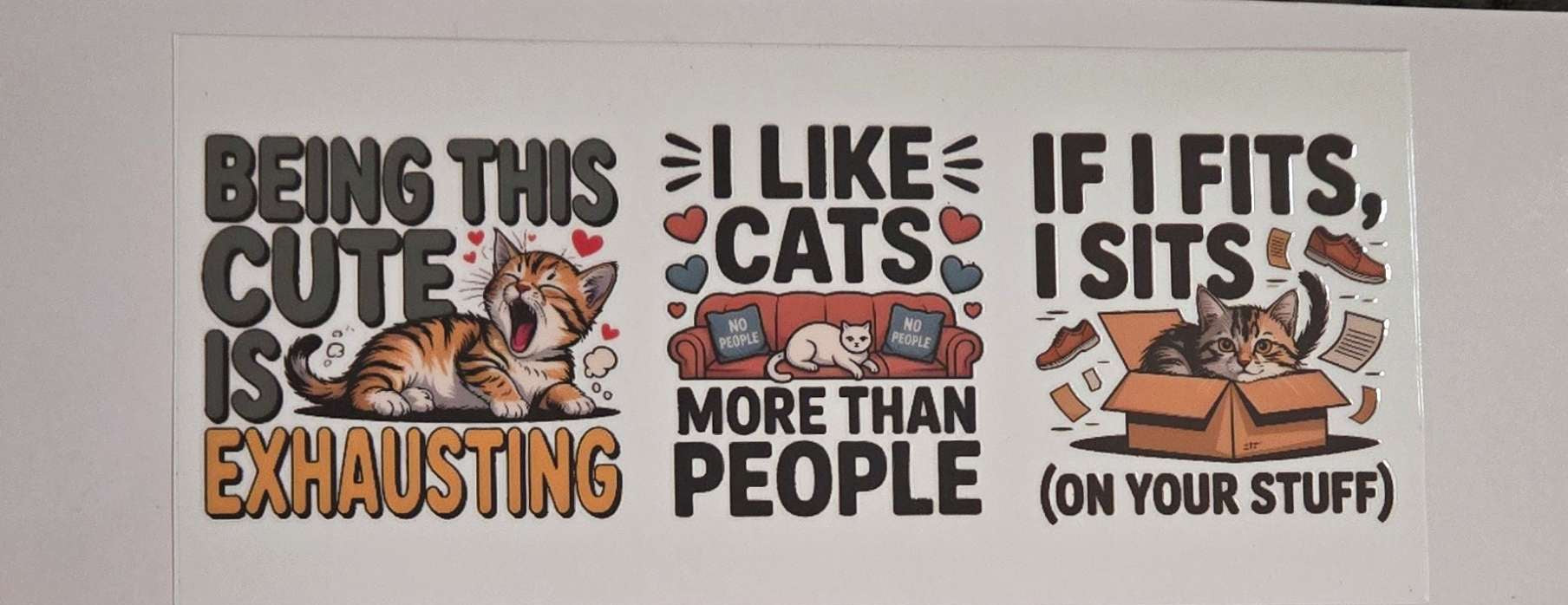 Cat Decal