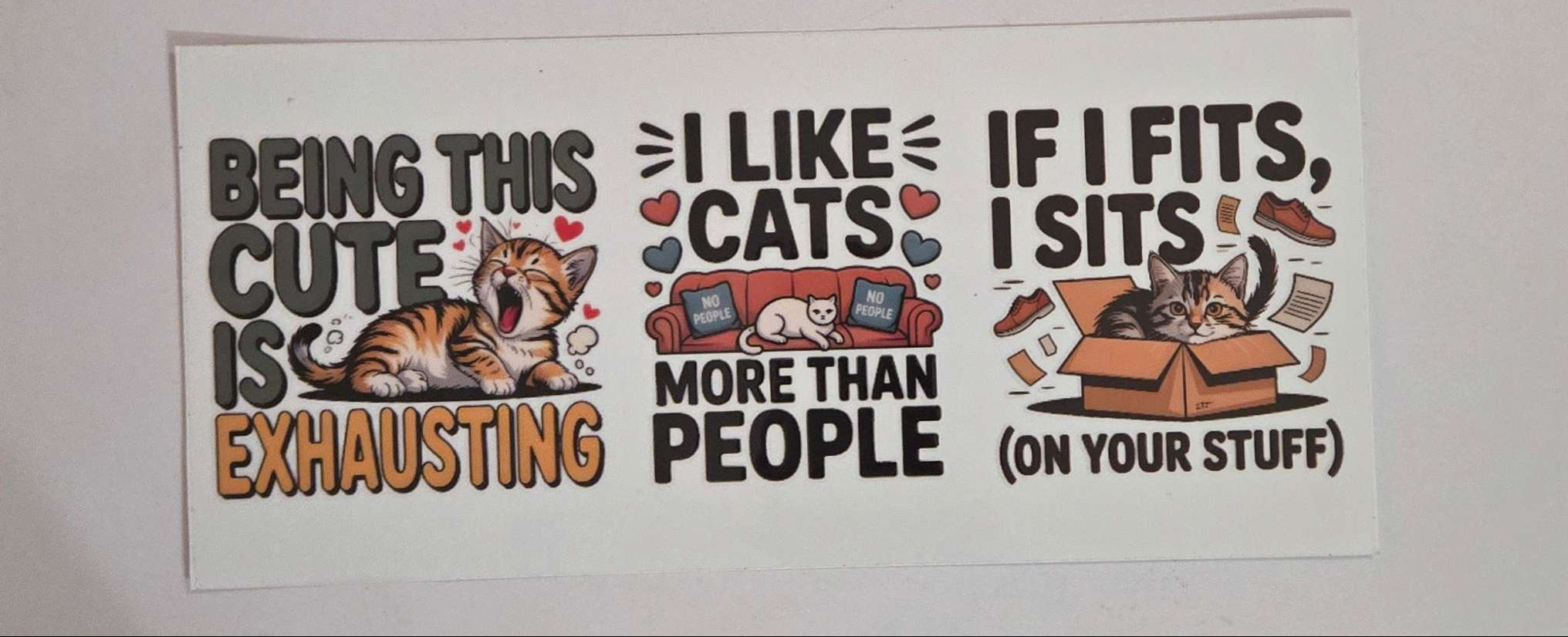 Cat Decal