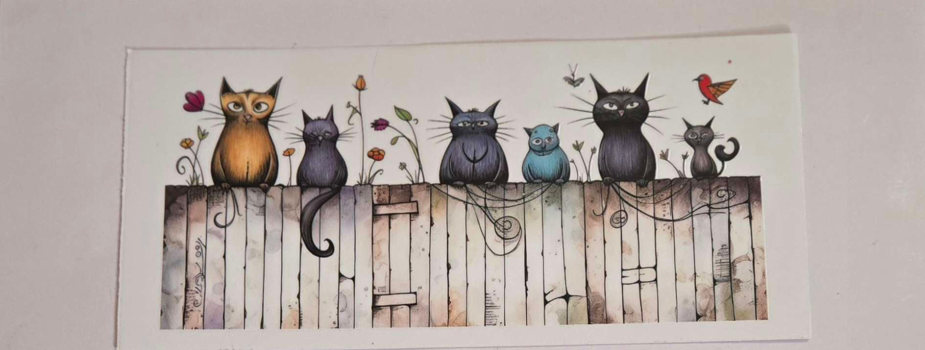 Cat Decal