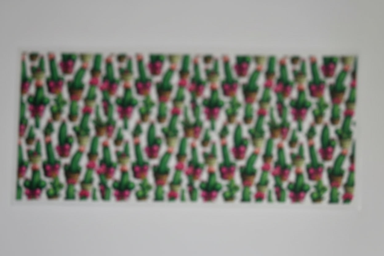 Cactus Decal