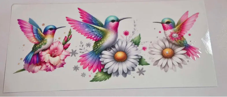 Hummingbird Decal