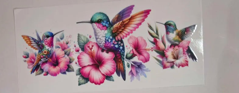 Hummingbird Decal