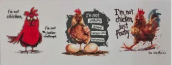 Chicken Decal